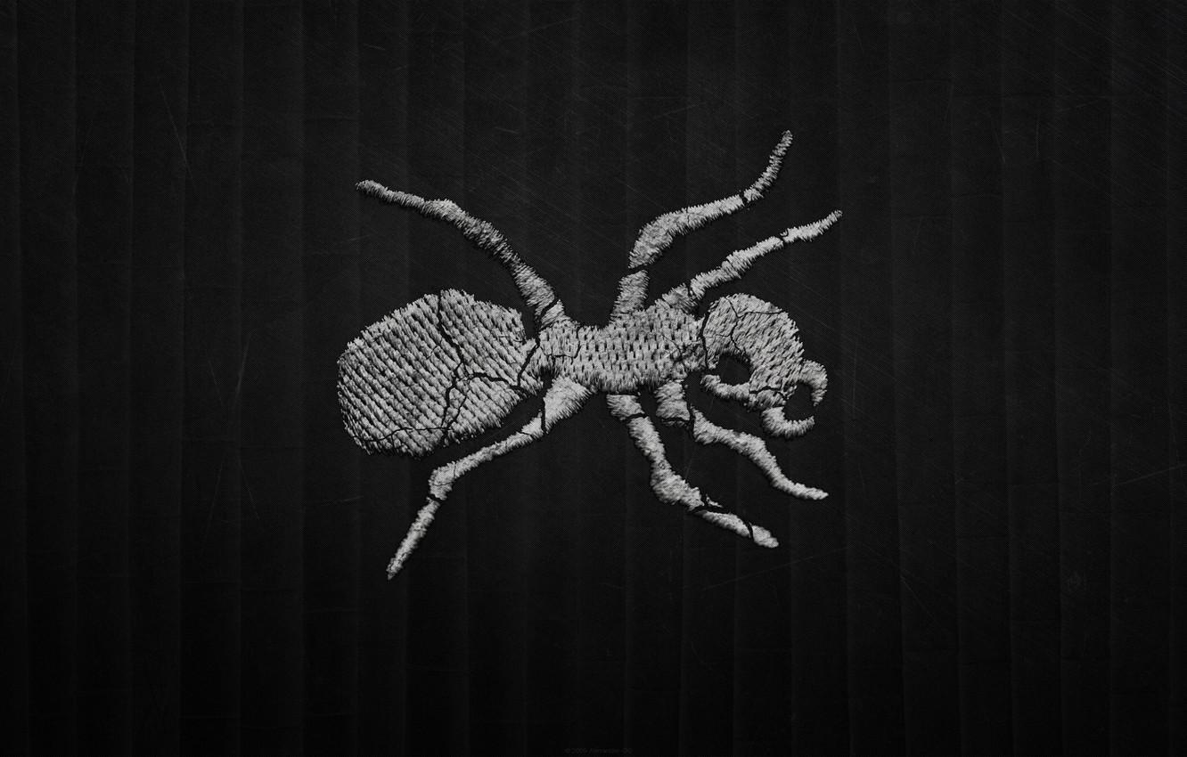 Wallpapers strip, the dark background, logo, ant, Drum and Bass