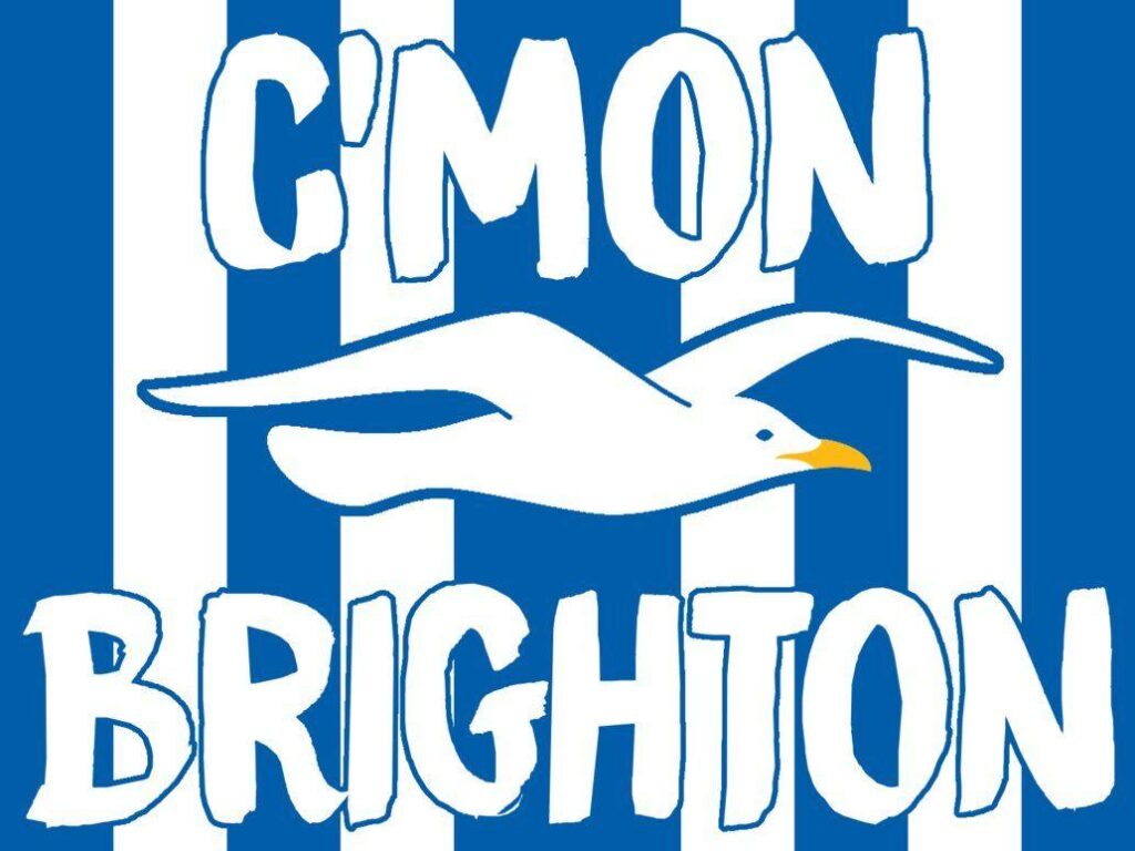 Brighton and Hove Albion Football Club Wallpapers by flyingorion on