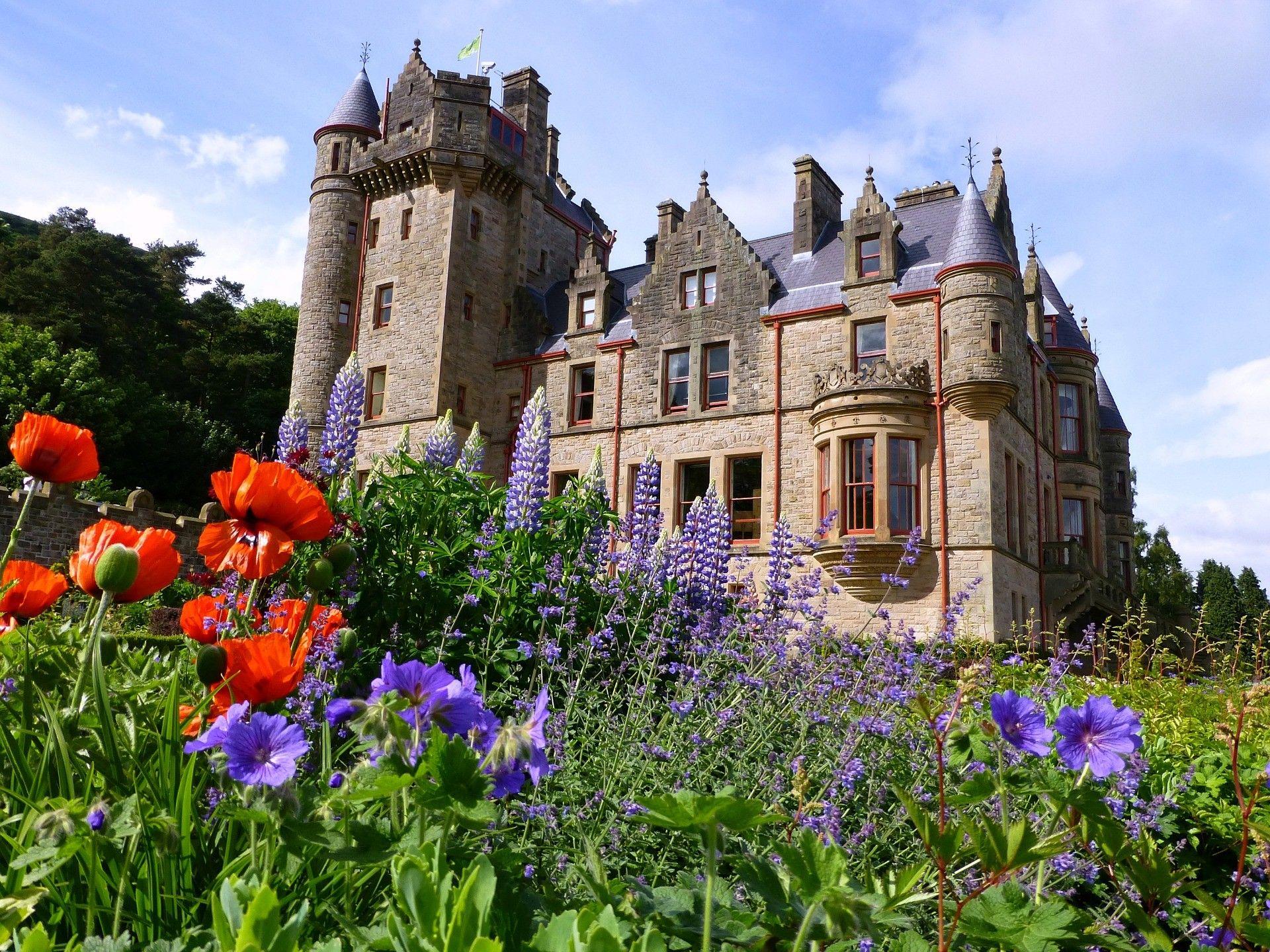 Medieval Belfast Castle Ireland Flowers Backgrounds Pictures for