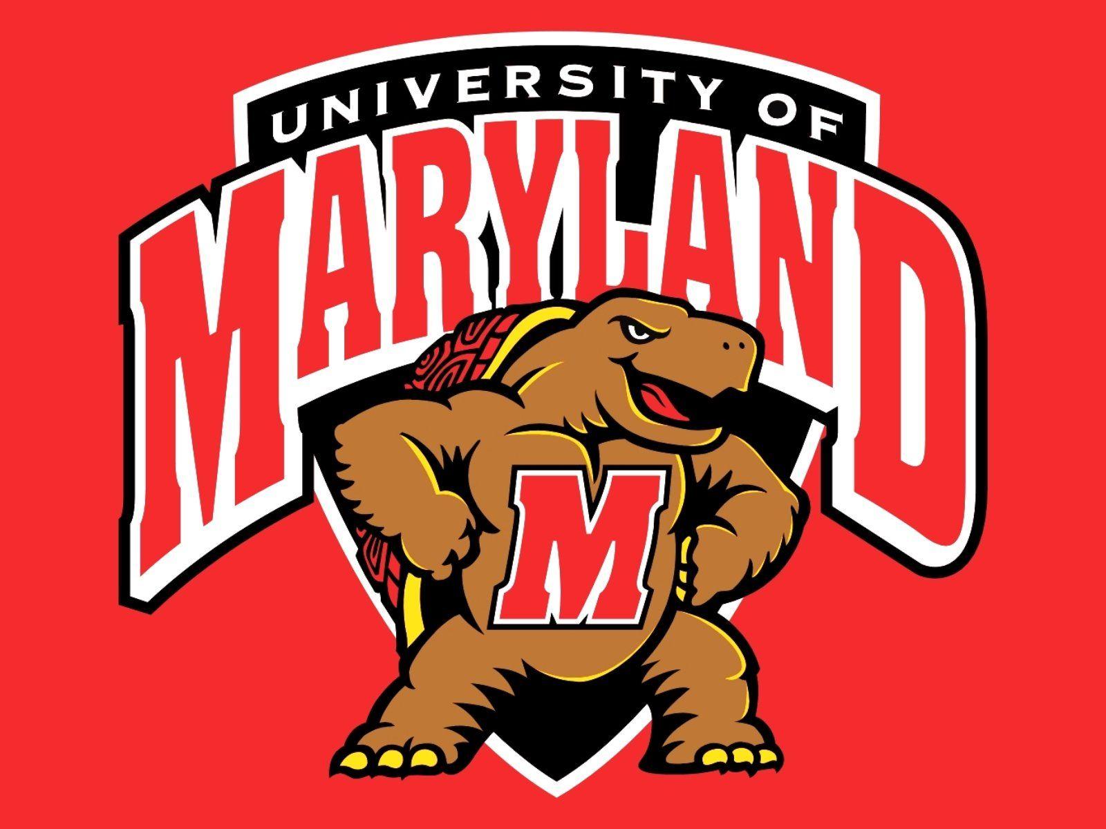 MARYLAND TERRAPINS college football wallpapers