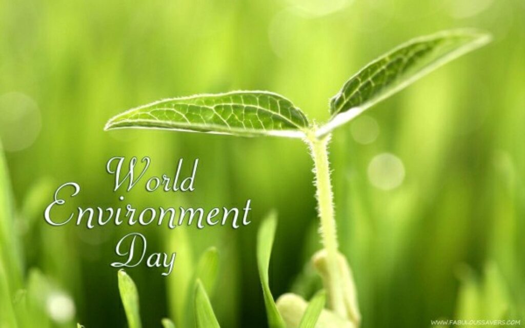 World Environment Day Free Computer Desk 4K Wallpapers