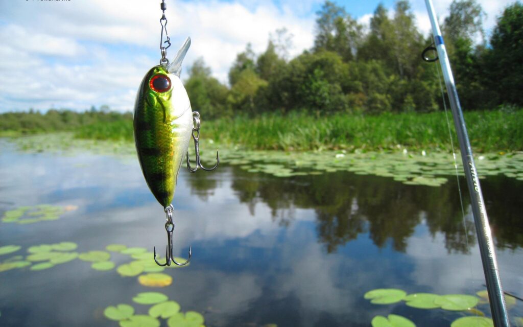 Wallpapers For – Fishing Lure Wallpapers