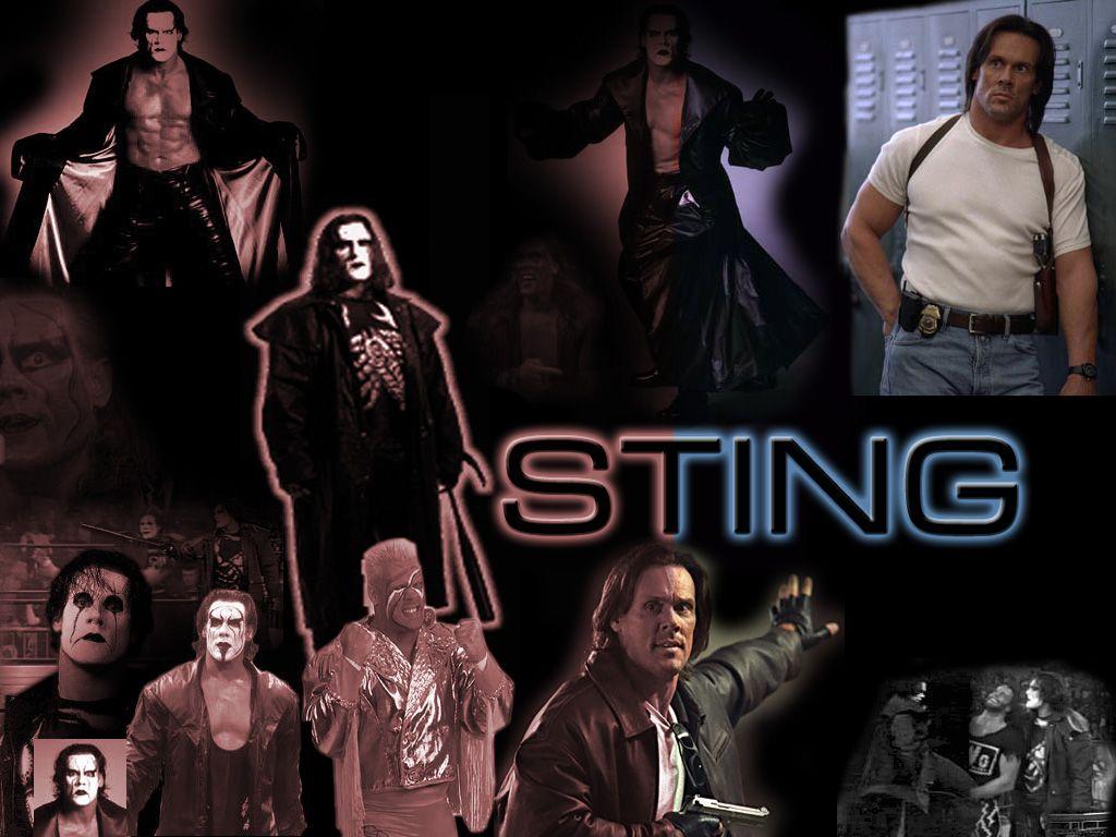 Wallpapers sting