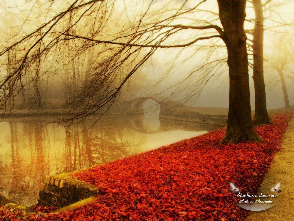 Wallpapers For – November Fall Backgrounds