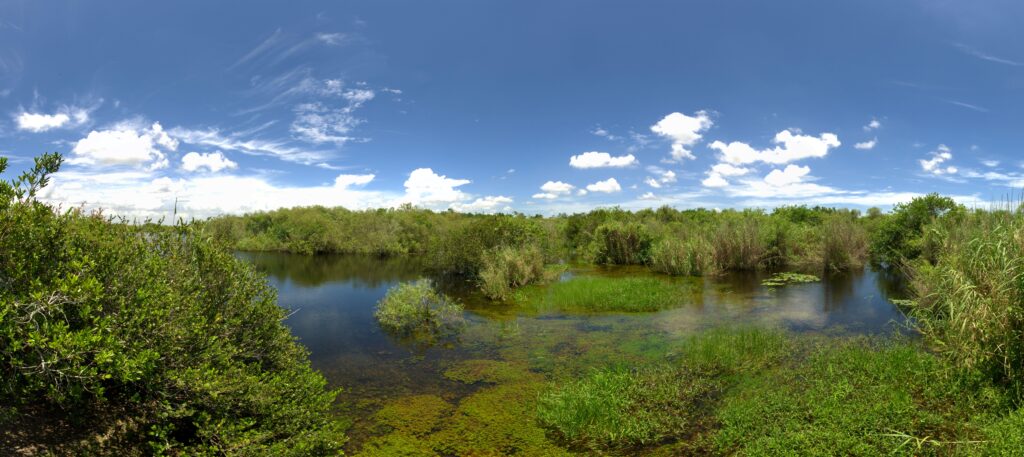 Everglades National Park panoramic landscape