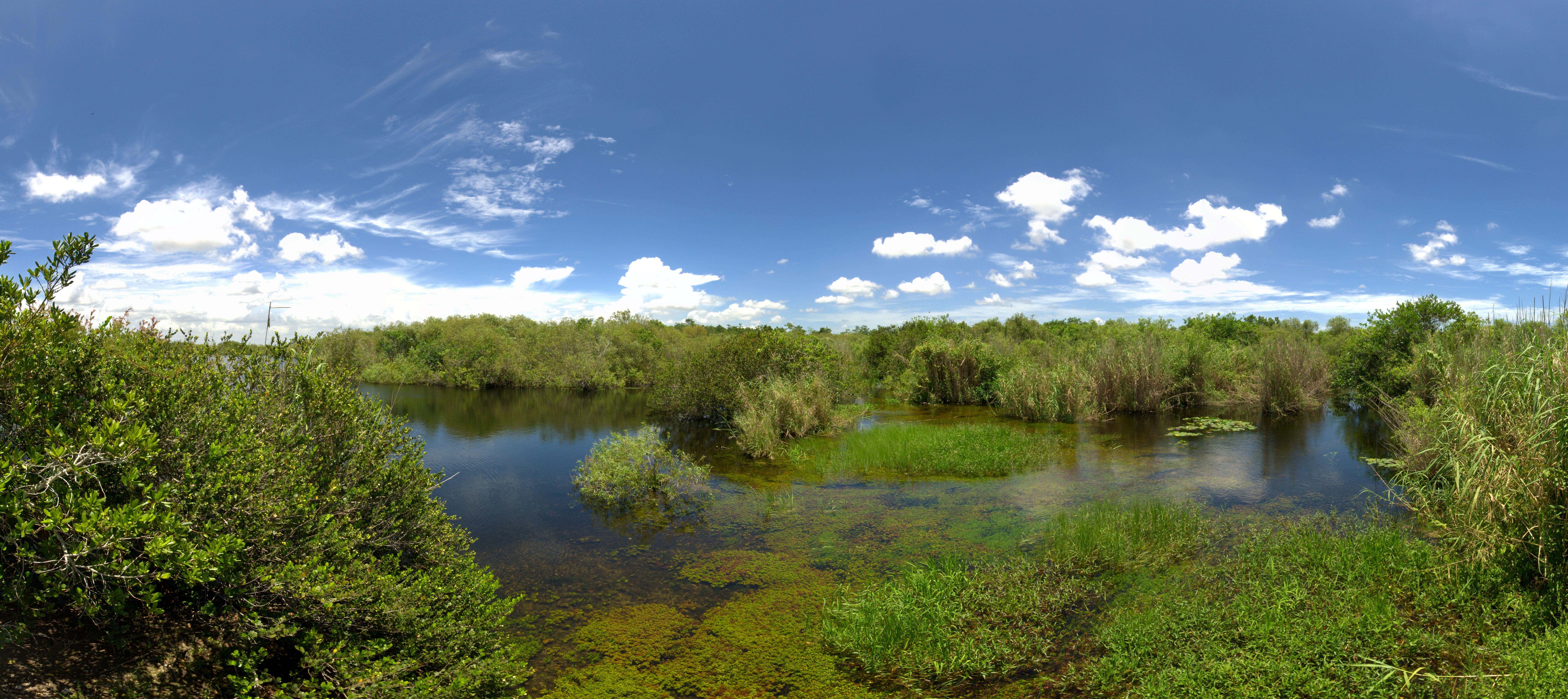 Everglades National Park panoramic landscape