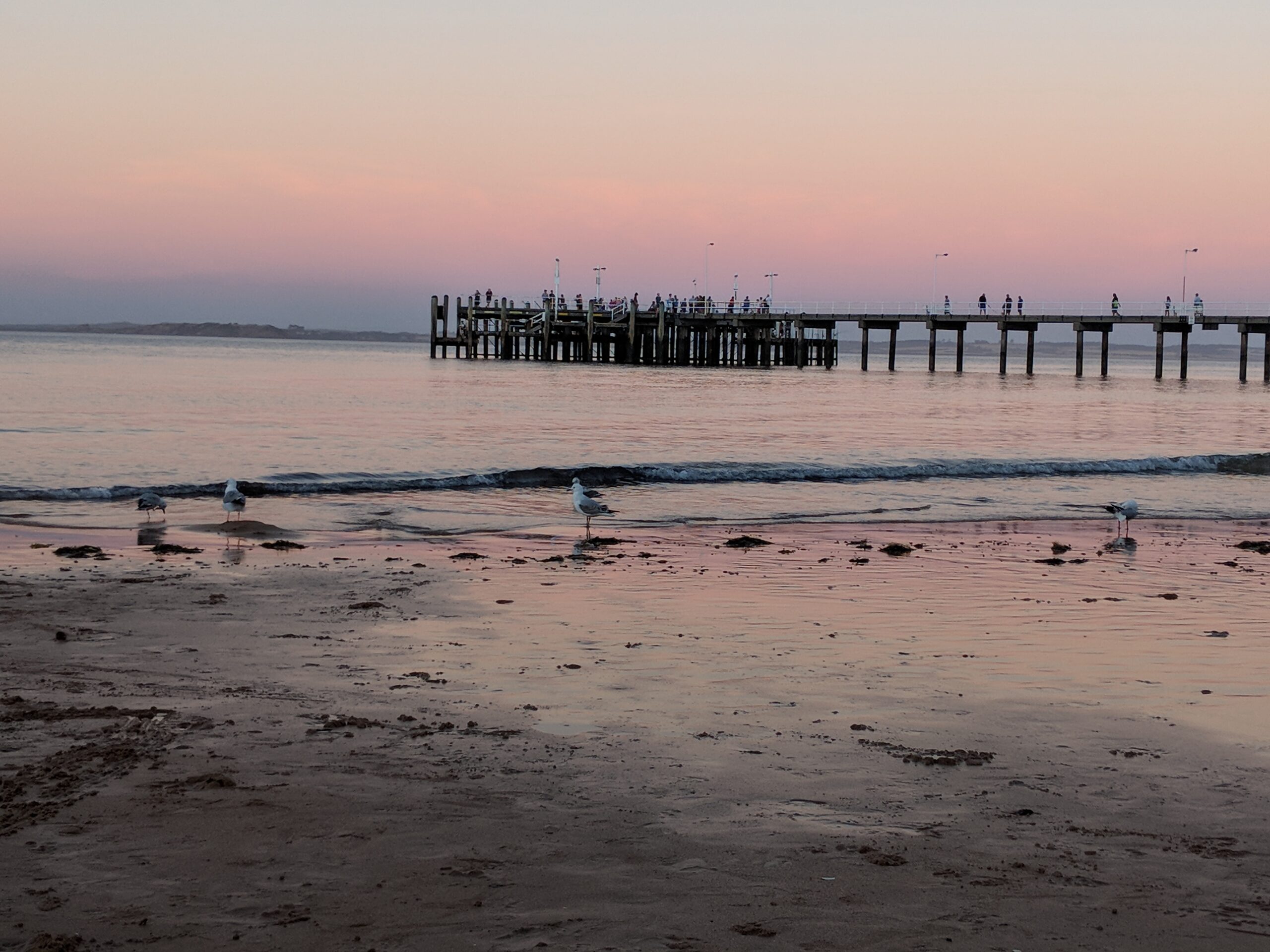 Free stock photo of Cowes Foreshore, justifyyourlove, Phillip Island