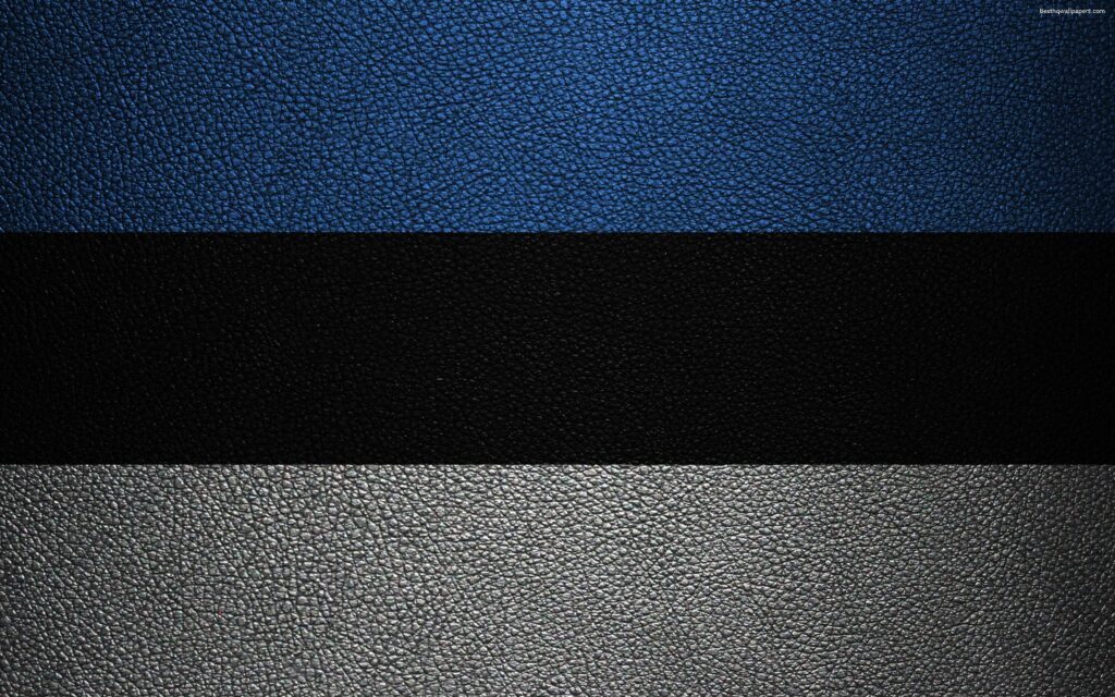 Download wallpapers Flag of Estonia, k, leather texture, Estonian