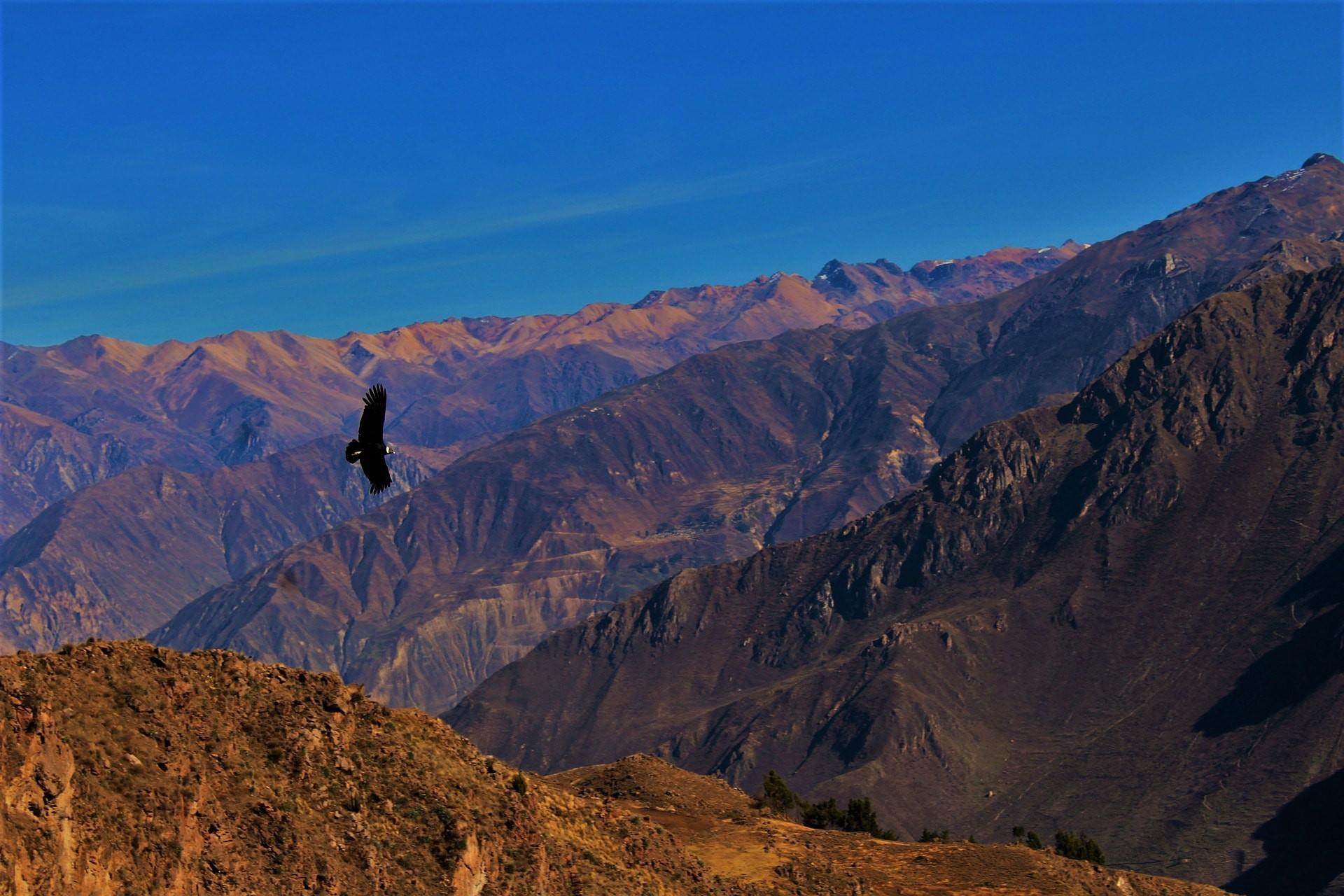 The Ultimate Trekking Guide to the Colca Canyon, Peru