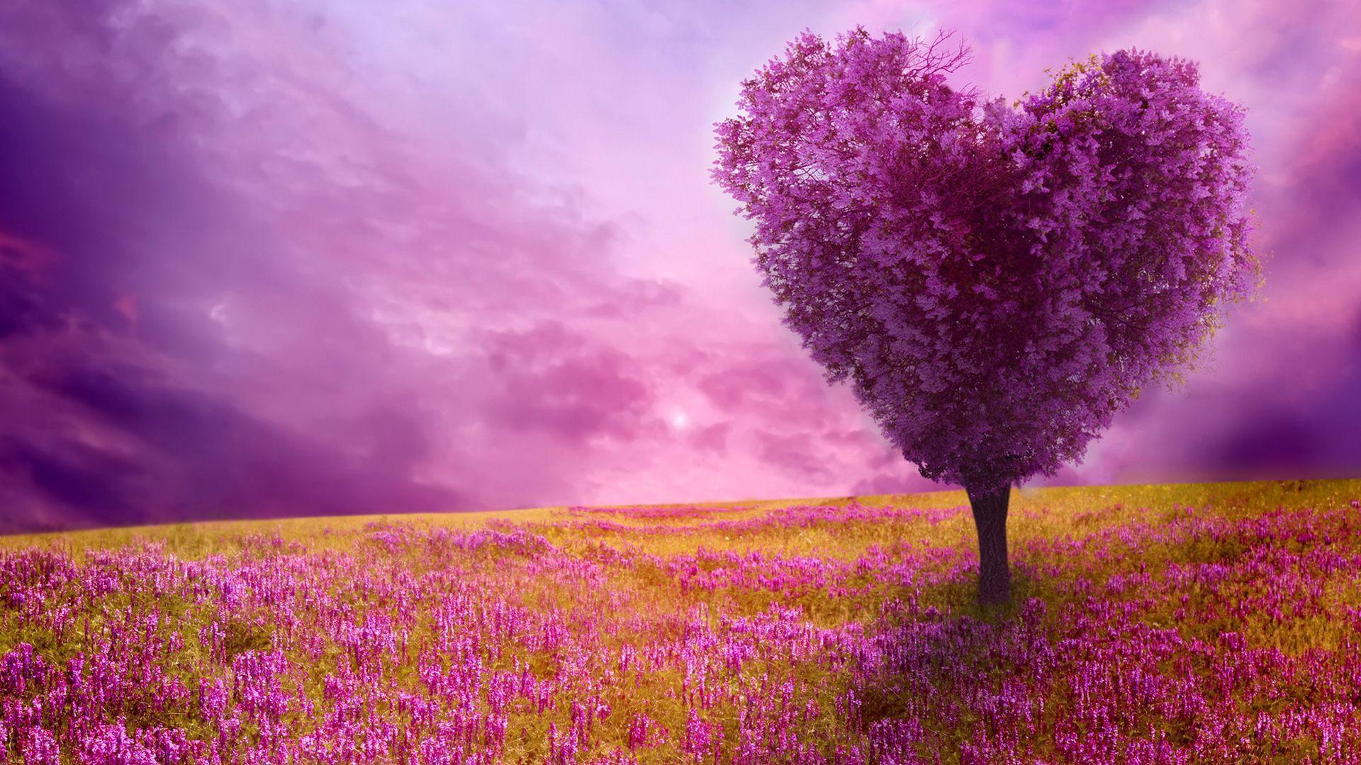 Spring Widescreen Wallpapers Group