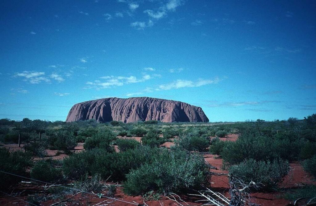 Deserts Uluru Desert Red Shrubs Dingo Rock Large Australia Outback