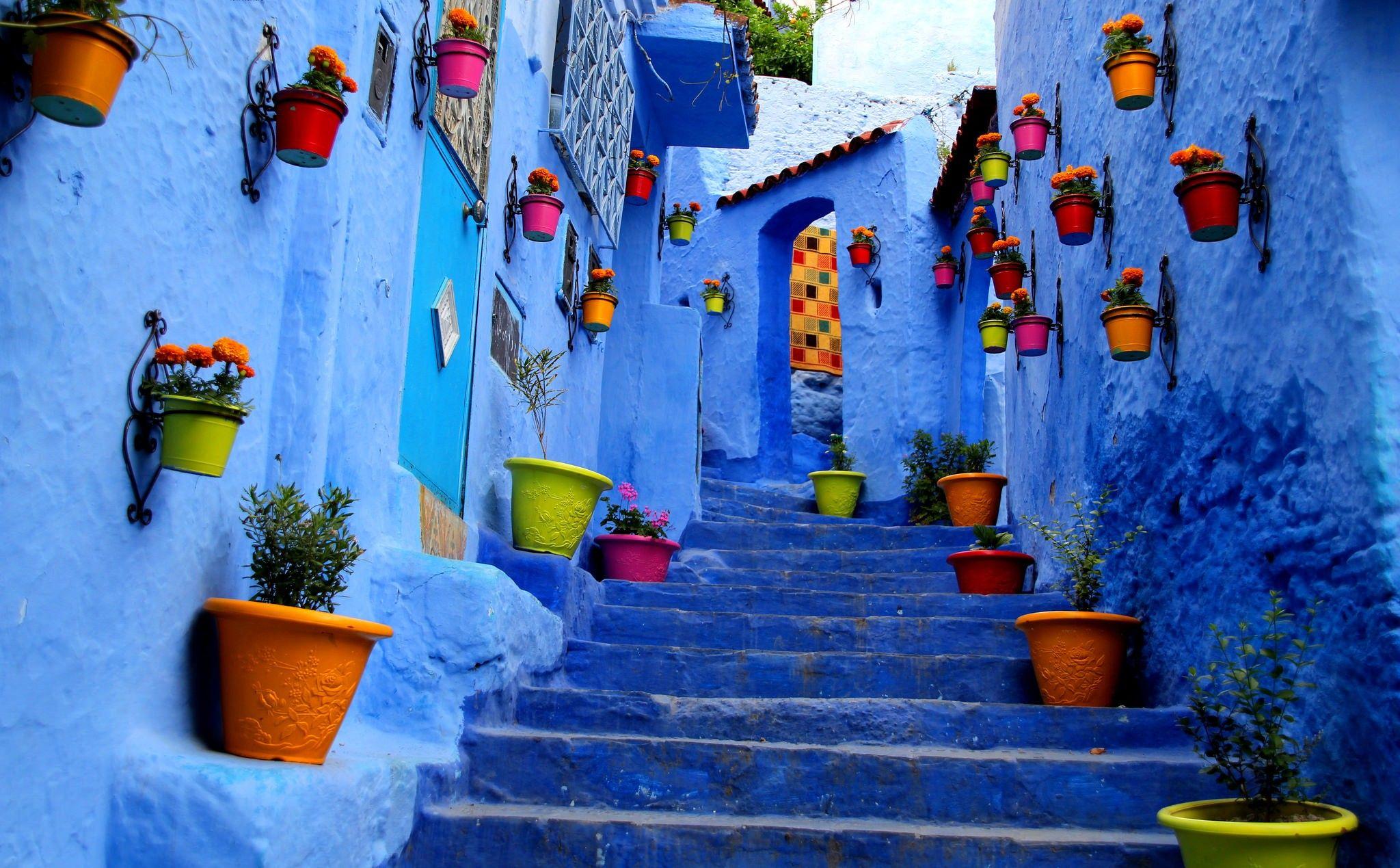 Flowerpots Outside Houses in South America 2K Wallpapers and