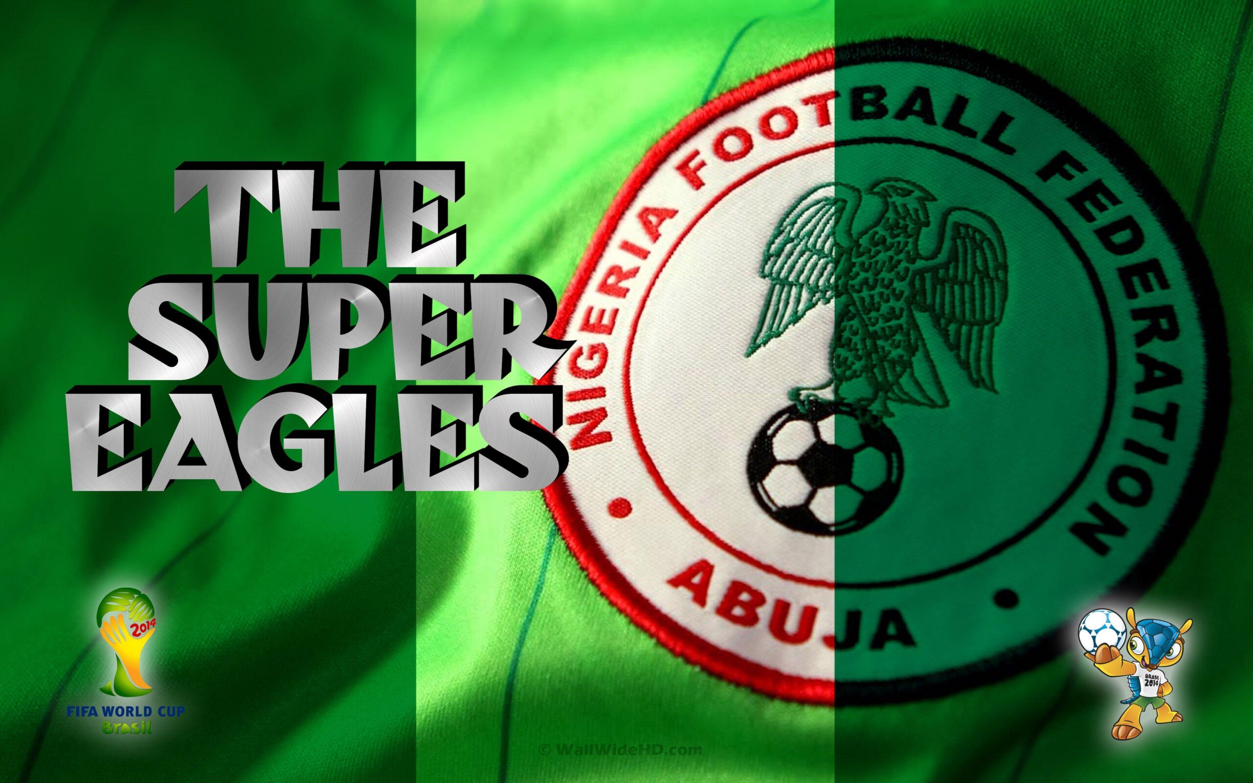 Nigeria World Cup