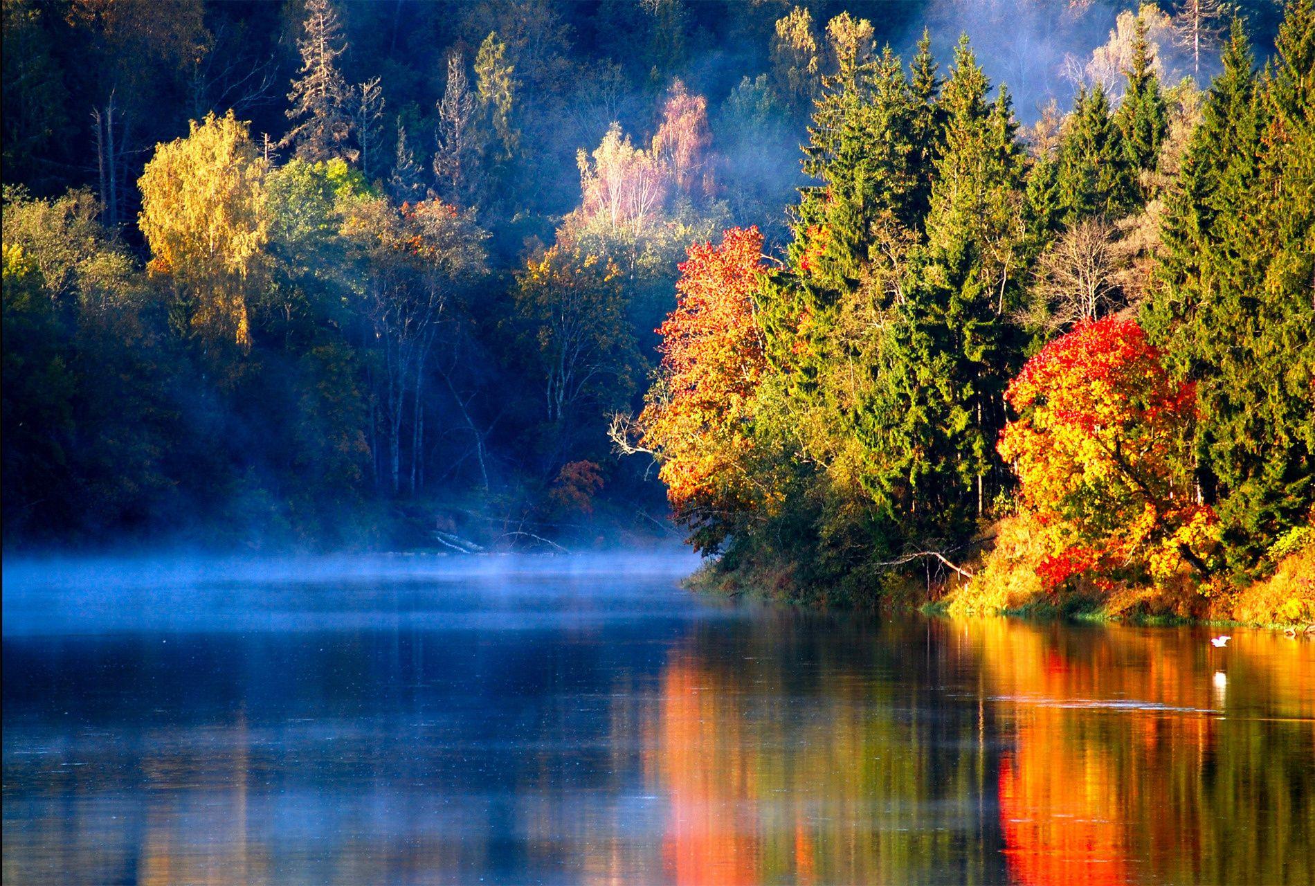 Wallpapers autumn, latvia, river, morning, autumn, forest, fog