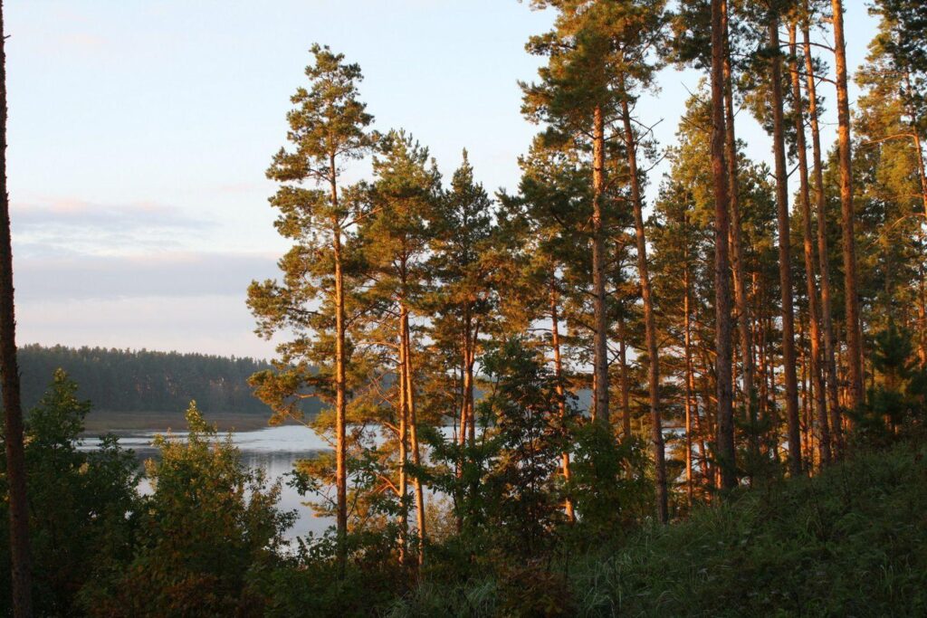 Lithuania Nature Lake