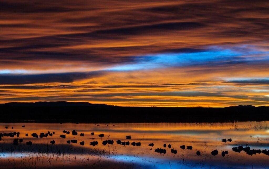 New Mexico Sunset Reflection wallpapers