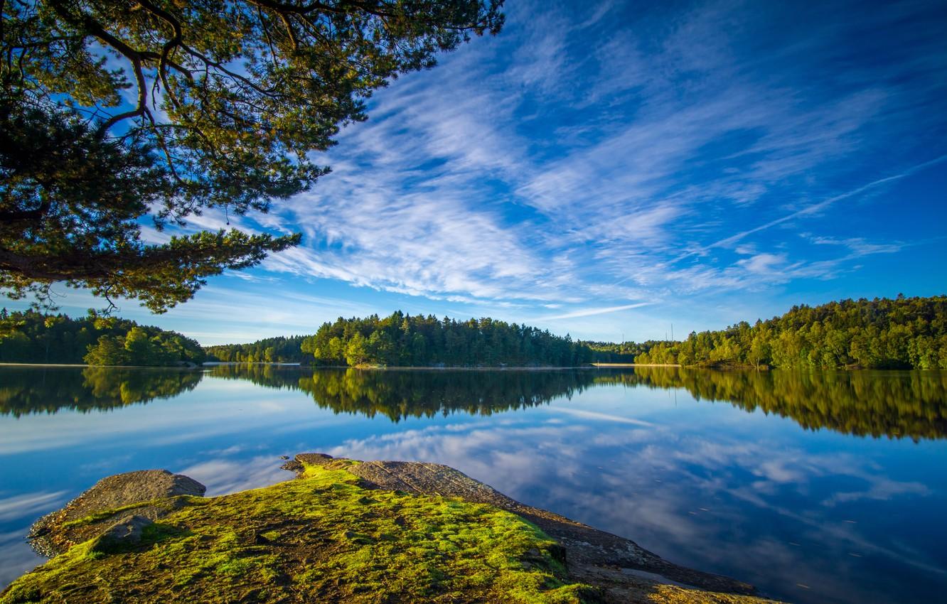 Wallpapers the sky, branches, Sweden, forest, Sweden, lake