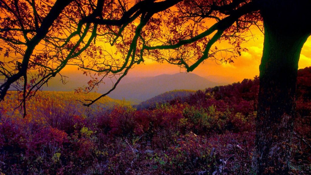 Best Travelling Wallpaper Shenandoah National Park,