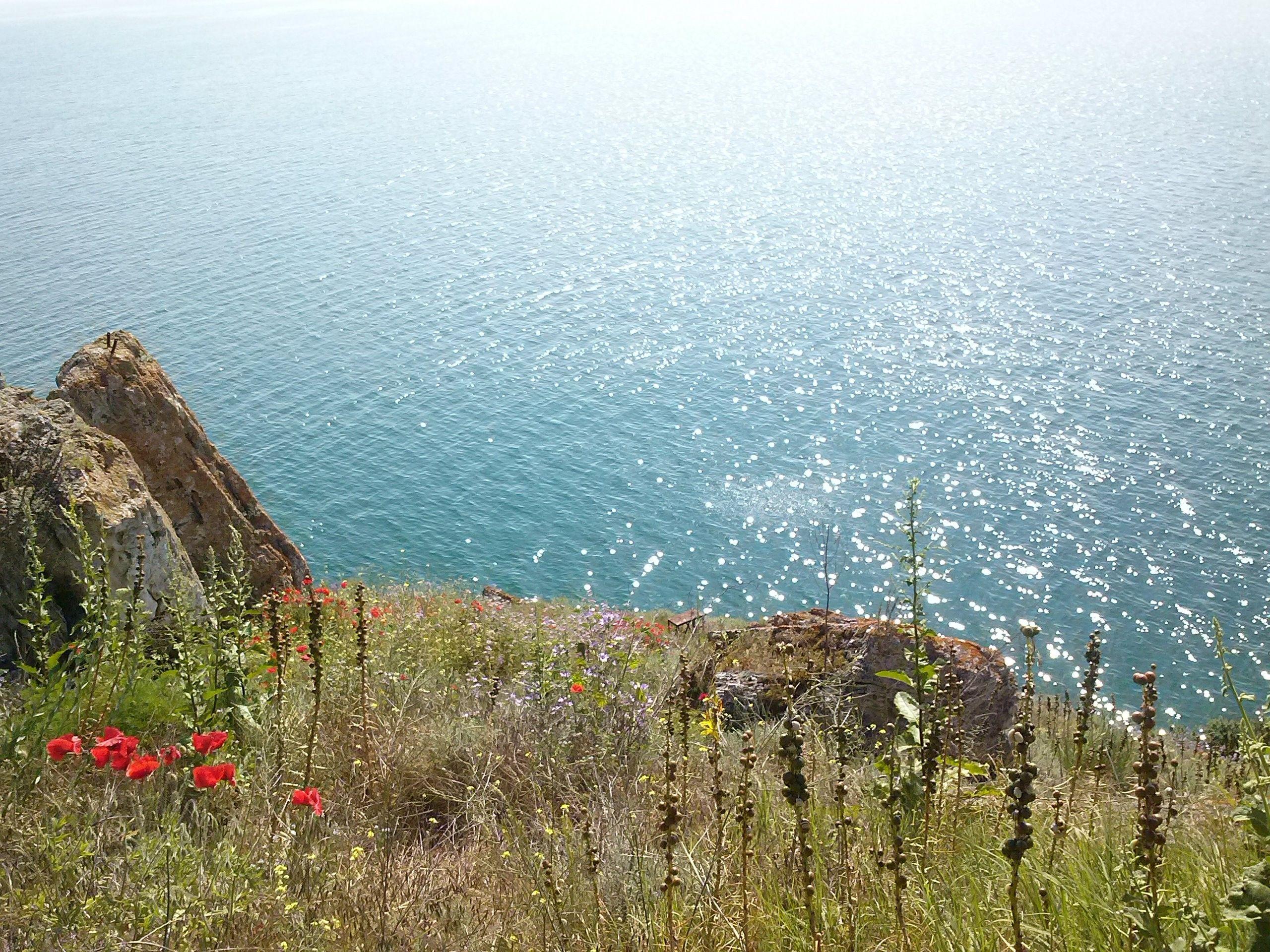 Nature, Landscape, Bulgaria, Flowers, Sea Wallpapers 2K | Desktop