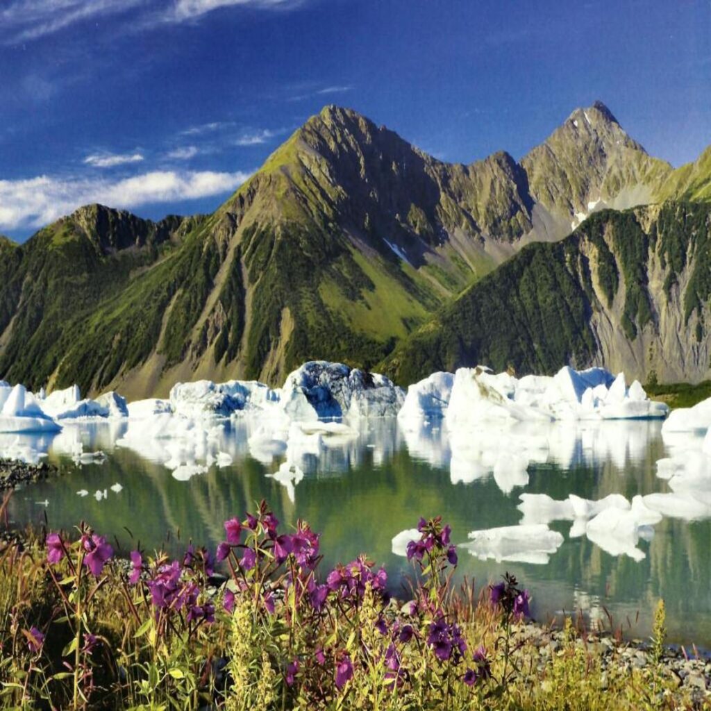 Kenai Fjords National Park f