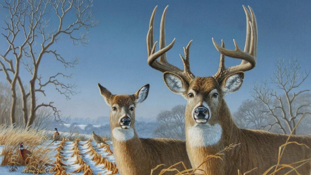 Ultra 2K Whitetail Deer Wallpapers