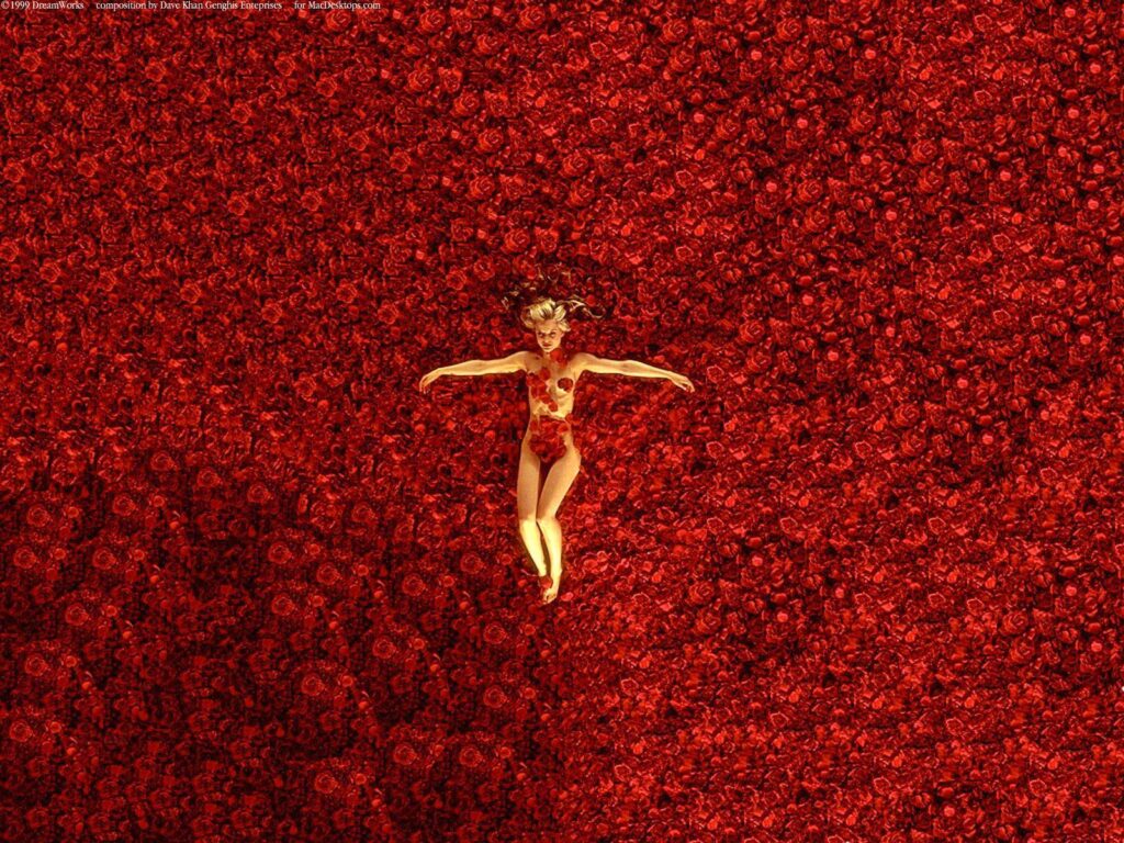 American Beauty Wallpapers