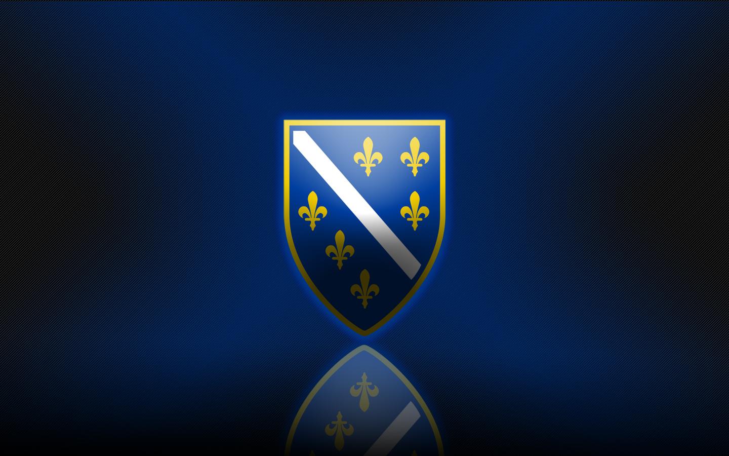 Group of Bosnia Soccer Wallpapers