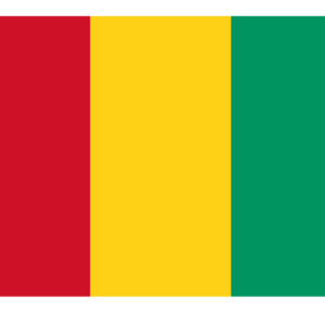 Guinea Flag