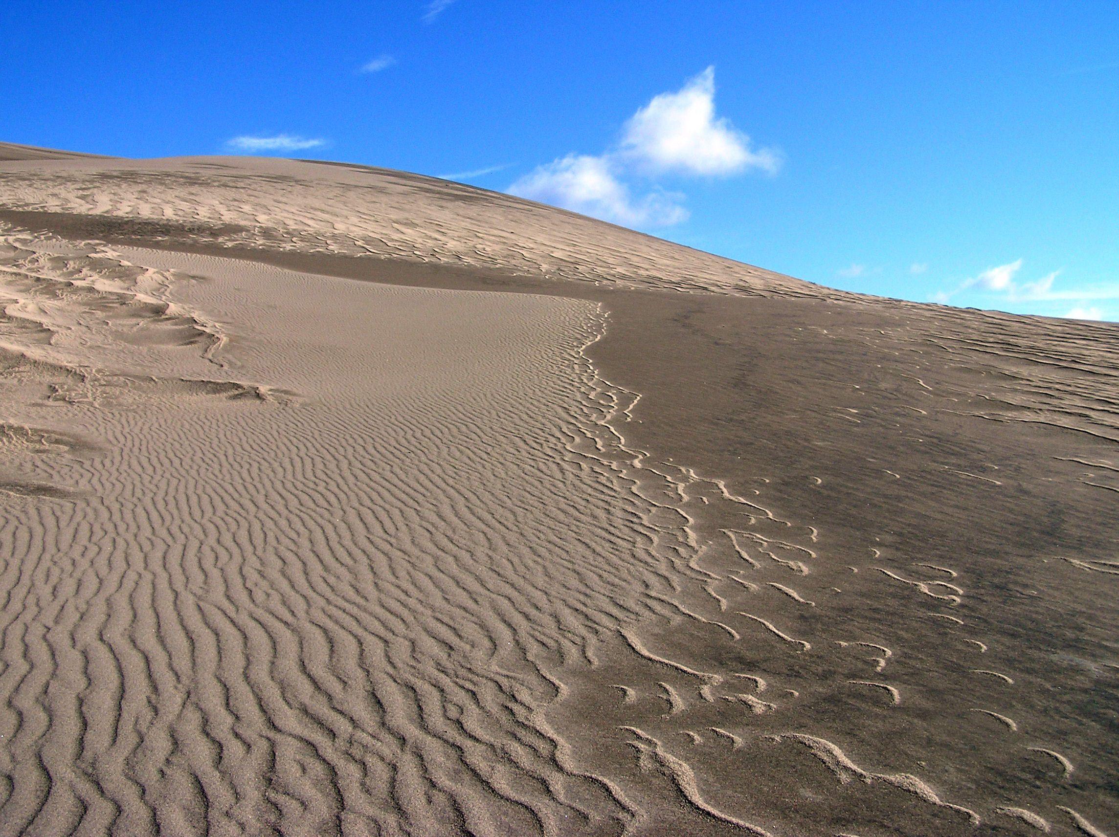 FileGreat Sand Dunes National Park and Preserve P K