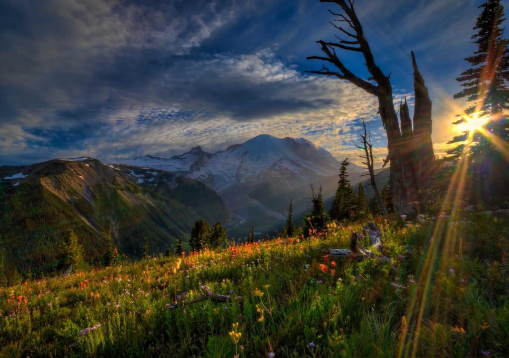 Mount Rainier National Park