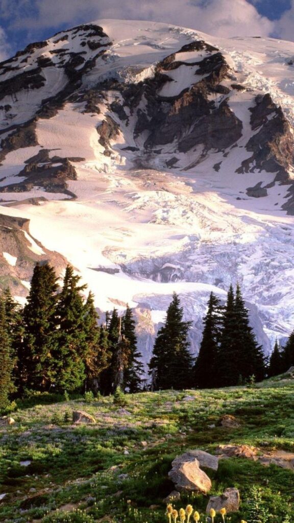 Mount Rainier National Park Galaxy s wallpapers