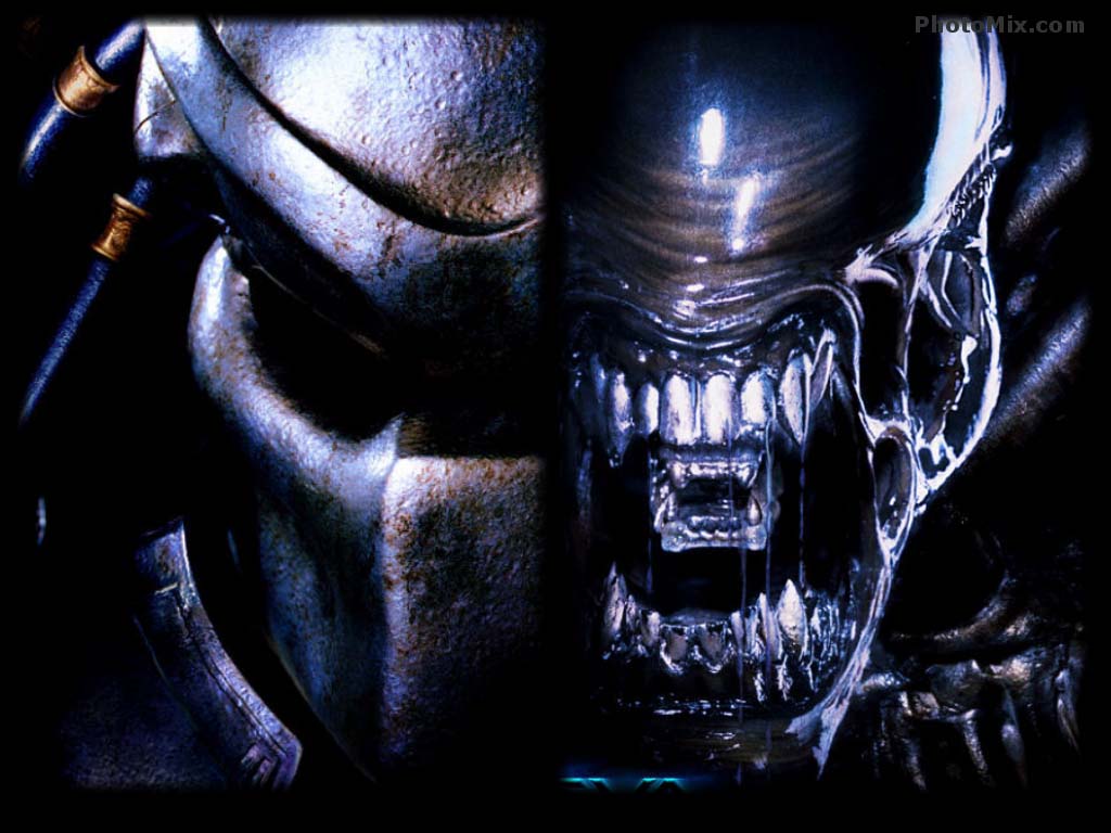 DC Movie Wallpapers » Alien vs Predator