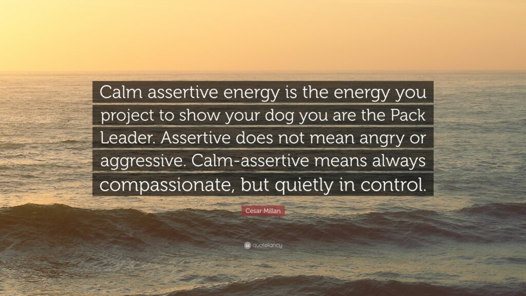 Cesar Millan Quote “Calm assertive energy is the energy you project