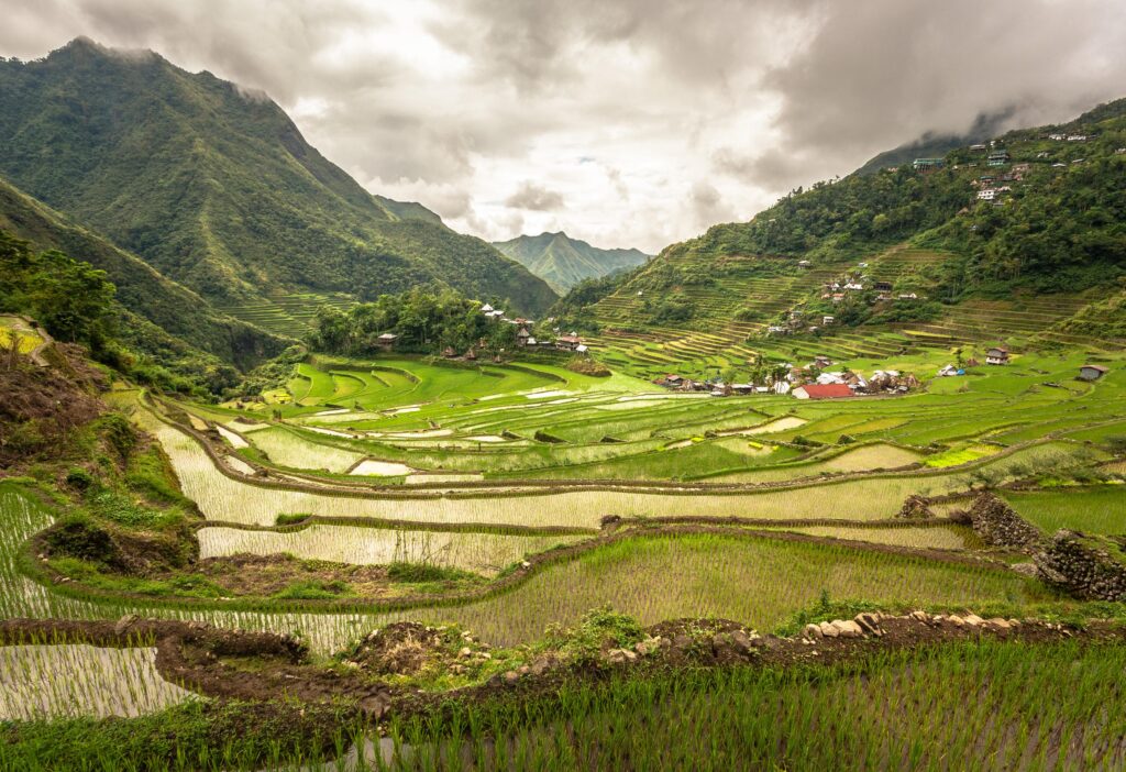 Philippines’ Famed Banaue Rice Terraces by Adi Simionov ×