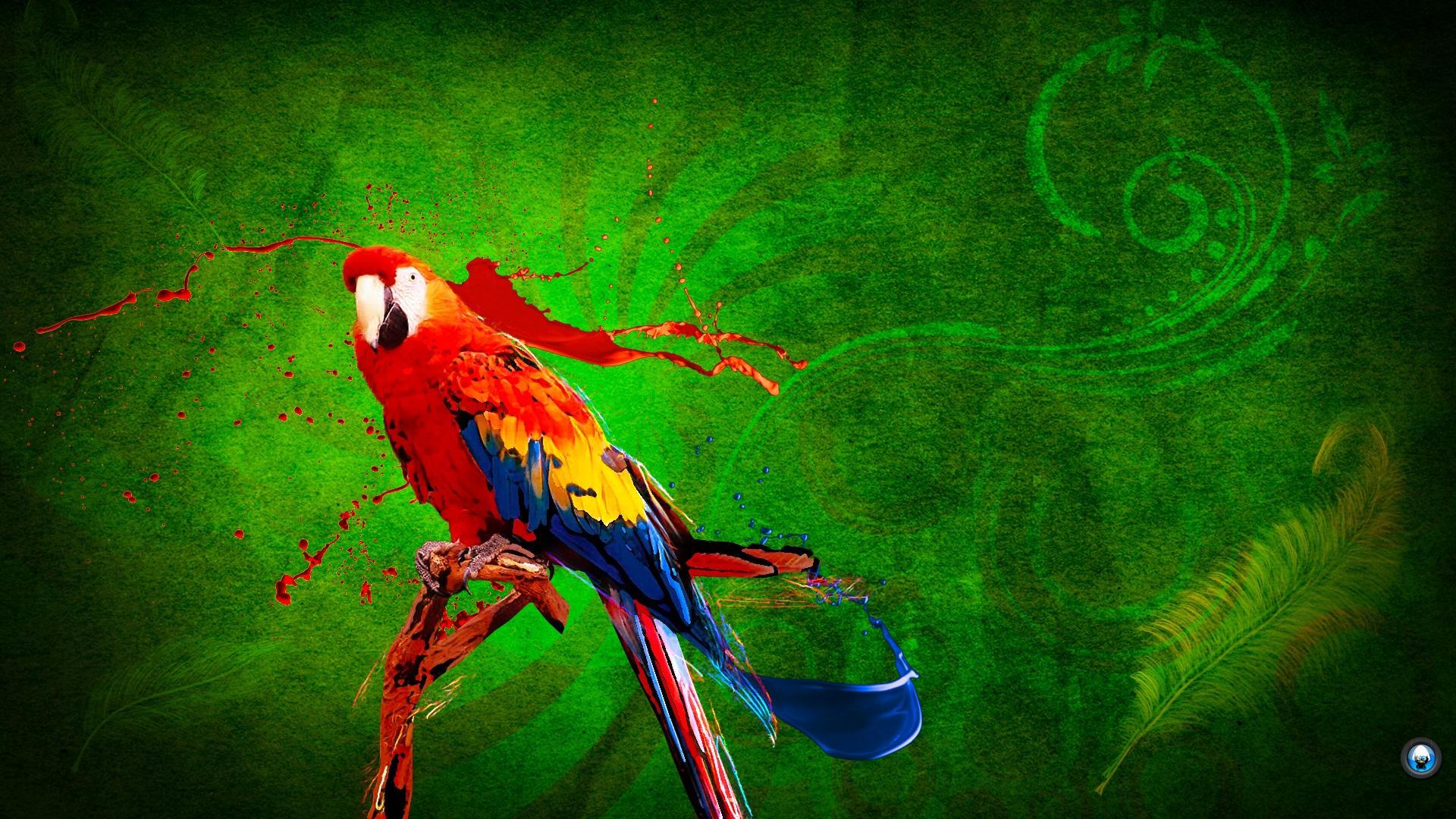 Parrot Wallpapers Free Download