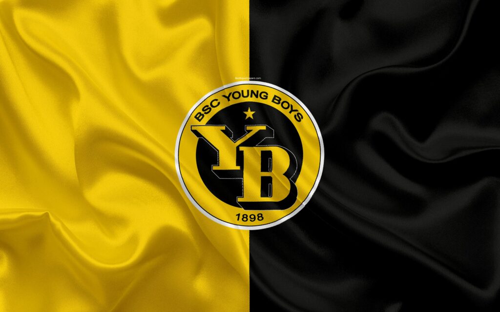 Download wallpapers BSC Young Boys, k, silk texture, logo, swiss