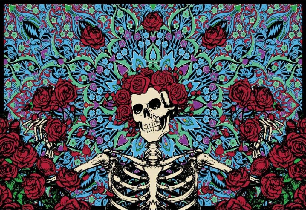 Skull, rose, Dia de muertos, skeleton