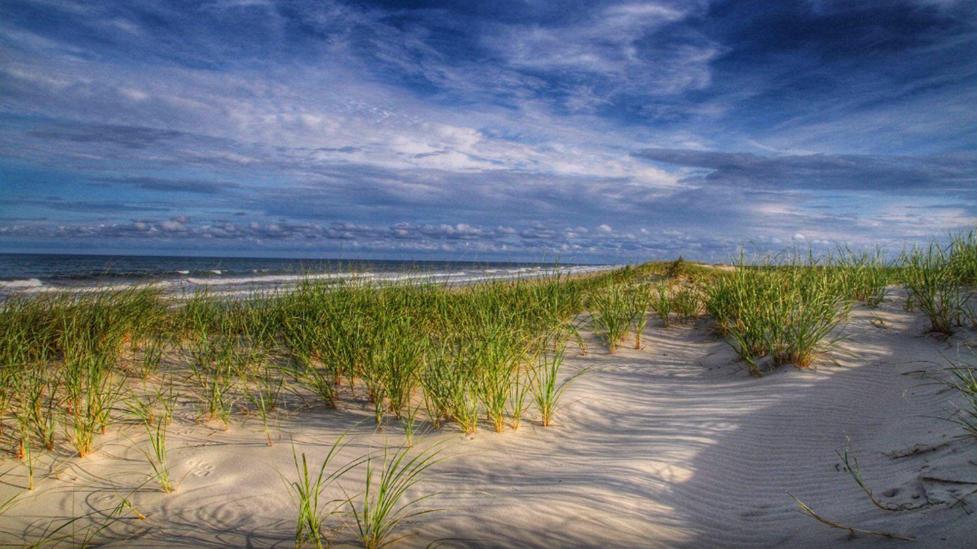 Island Beach State Park, New Jersey Summer Beach Grass Green Sea