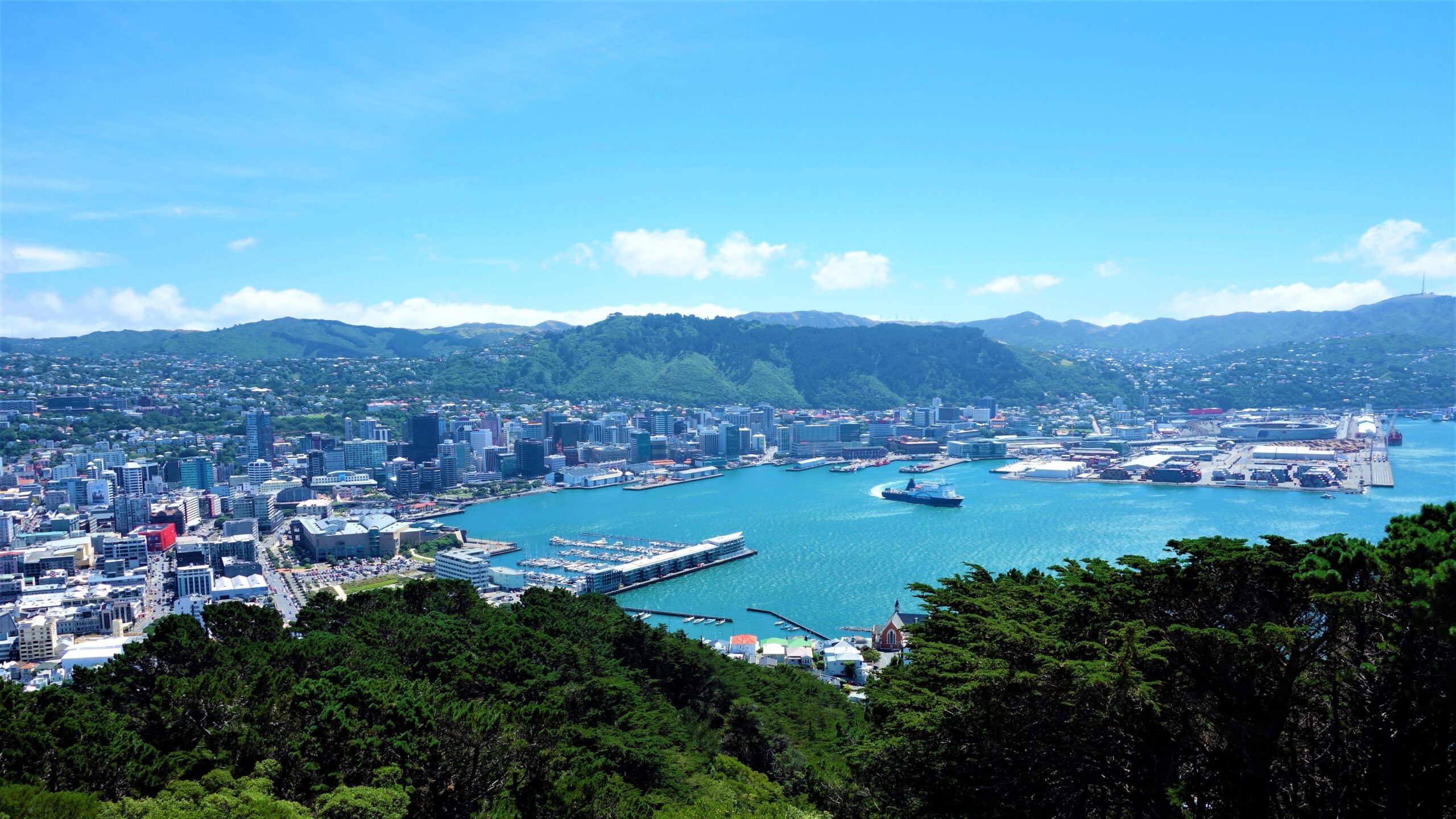 New zealand wellington wallpapers and backgrounds