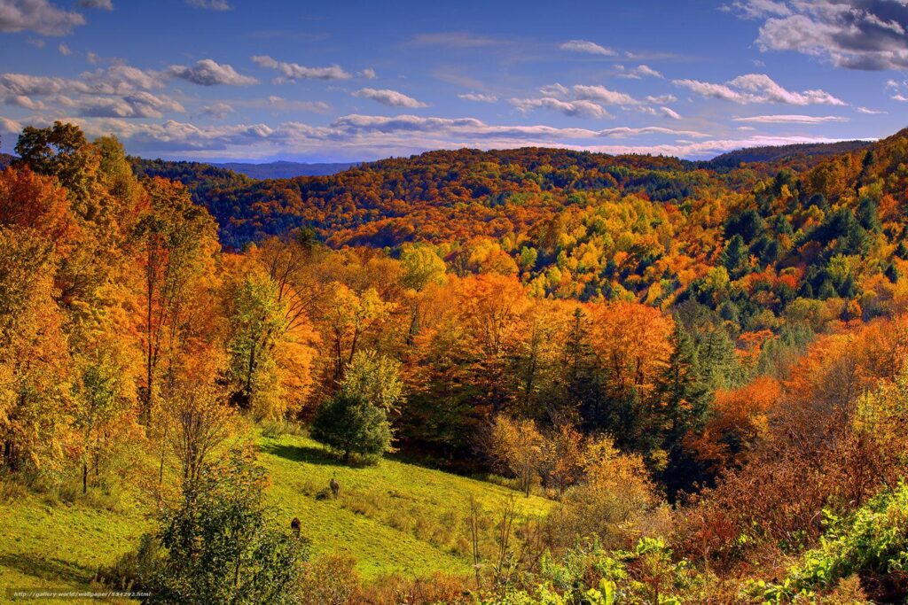 Download wallpapers valley of fall color, autumn, vermont free