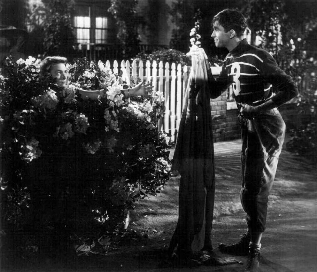 Picture of It’s a Wonderful Life