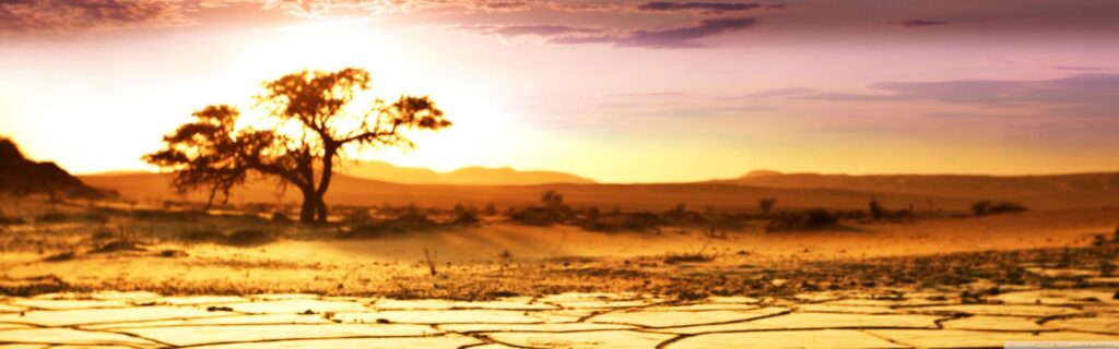 African Landscape ❤ K 2K Desk 4K Wallpapers for K Ultra 2K TV