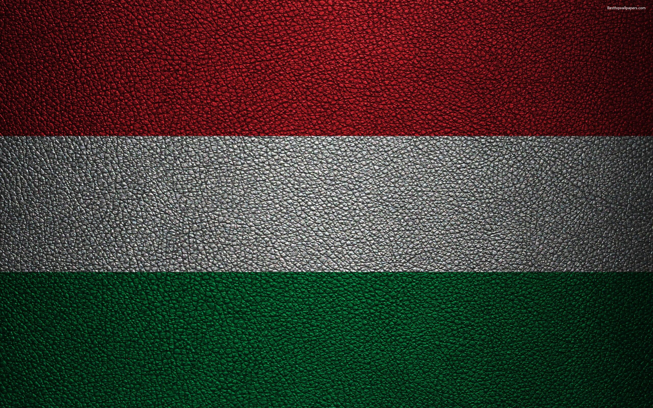 Download wallpapers Flag of Hungary, k, leather texture, Hungarian