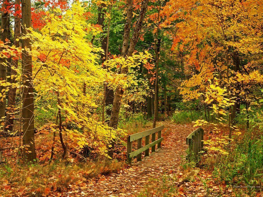 Beautiful Fall Wallpapers