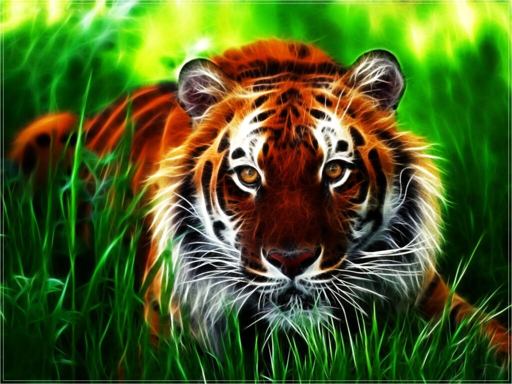 D Tiger 2K Wallpapers