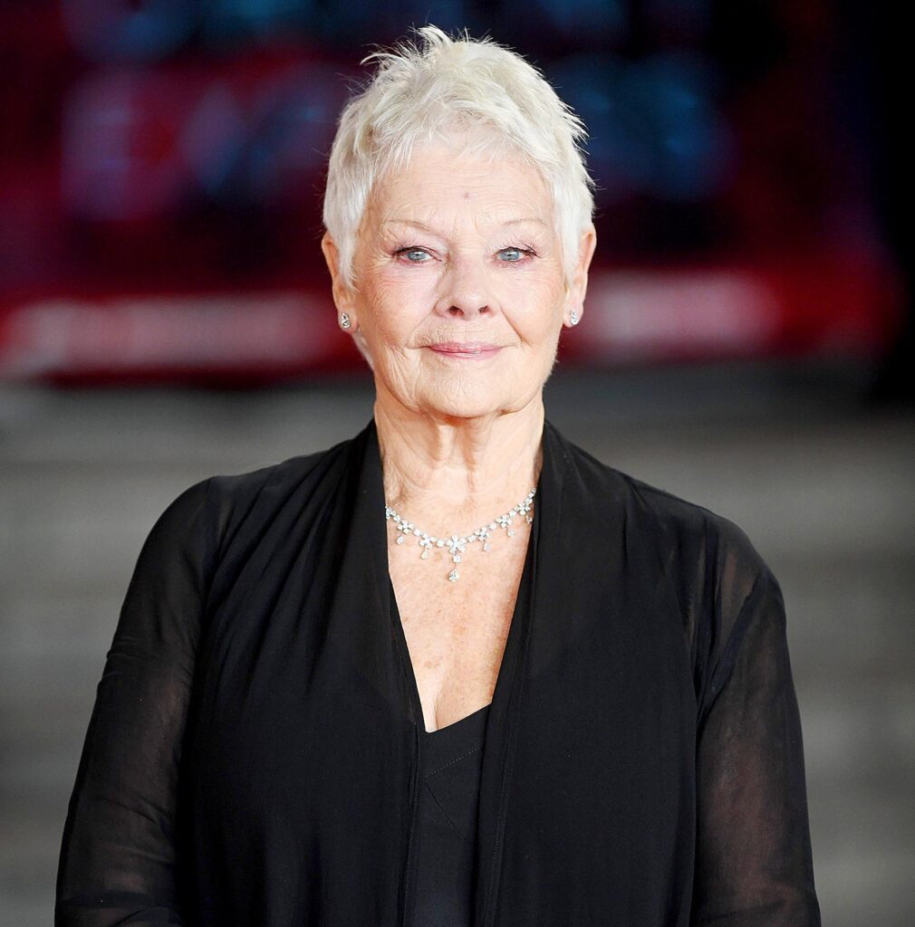 SAG Awards Twitter Reacts to Judi Dench ‘Leading Roll’ Typo