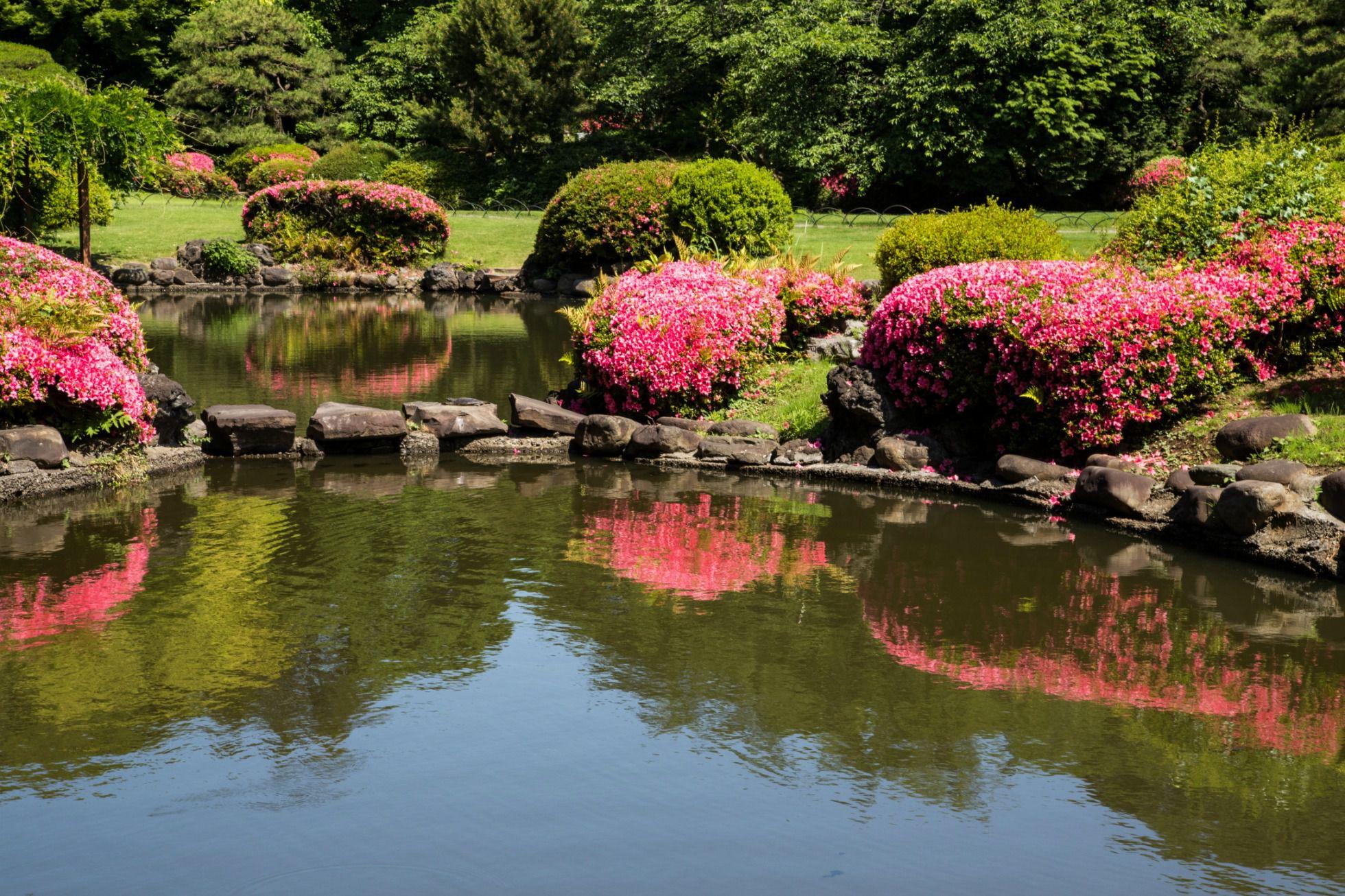 Beautiful Japanese Gardens