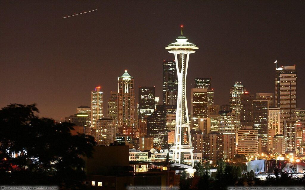 Seattle Space Needle Skyline