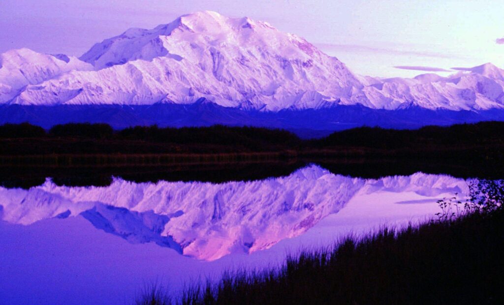Denali National Park Videos at ABC News Video Archive at abcnews
