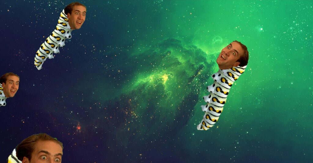 I like space, caterpillars, and Nicolas Cage wallpapers